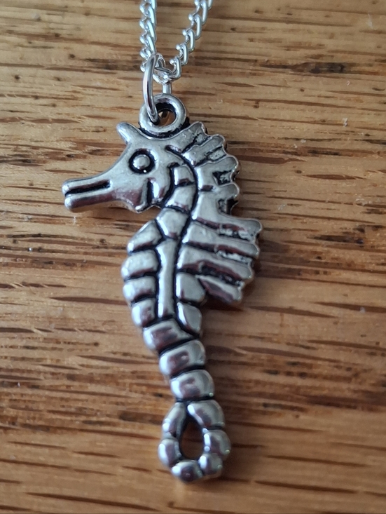 Jewelry - NWT Silver Seahorse Pendant Necklace